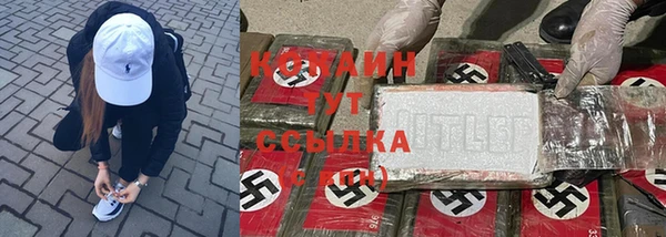 тгк Алексин