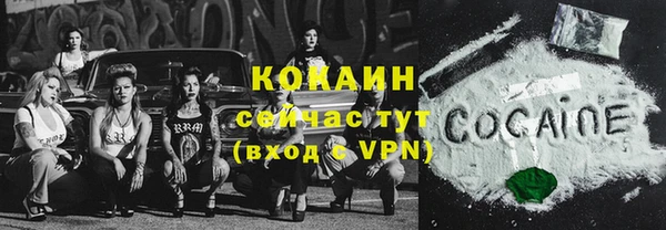 тгк Алексин